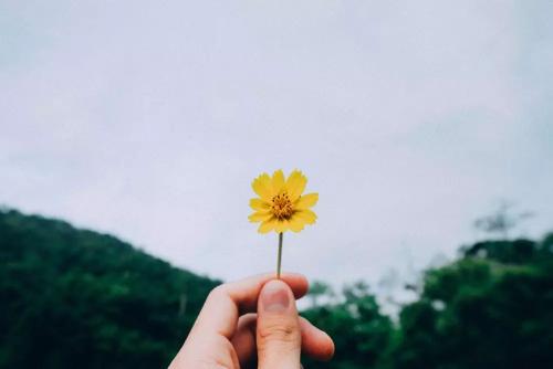 一日禅｜ 不打扰别人的幸福，是最高级的情商