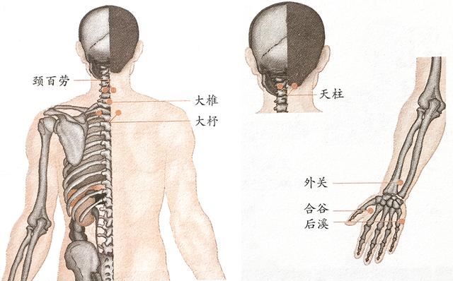 颈椎病必用此方，花钱不多效果好，用一个好一个，收藏了赶紧试试