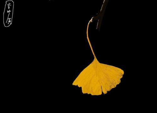 一日禅：无常即苦 如同季节的轮转