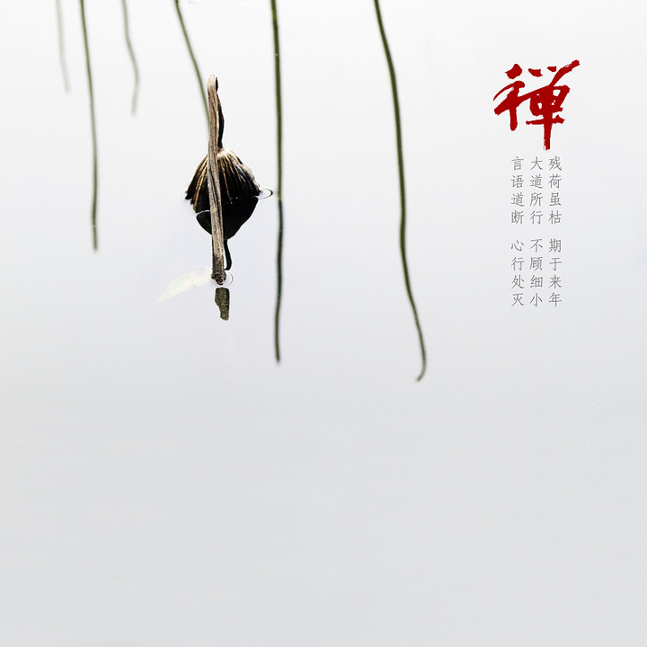 学佛秘钥:不掌握这个就是盲修瞎练 学佛秘钥:不掌握这个就是盲修瞎练