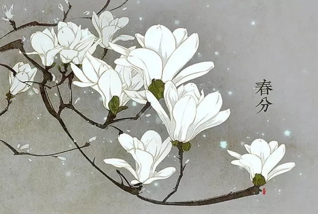 今日春分,“养肝护肾”好时节,错过今天再等一年! 今日春分,“养肝护肾”好时节,错过今天再等一年!