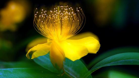 揭开生命的面纱 揭开生命的面纱