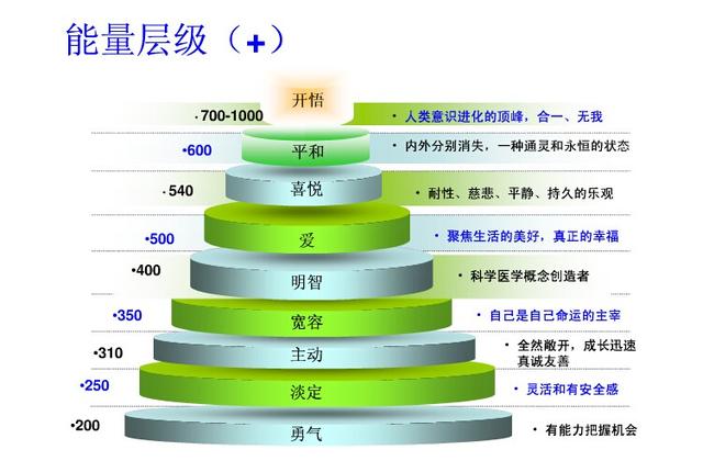 德国研究报告：吃素者是能量最高的人