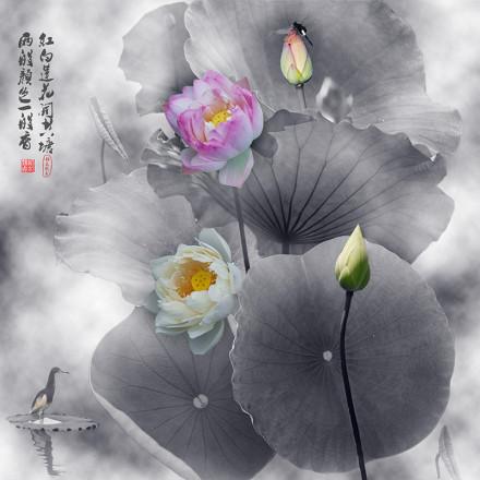 一日禅：淡泊恬适 明心立志