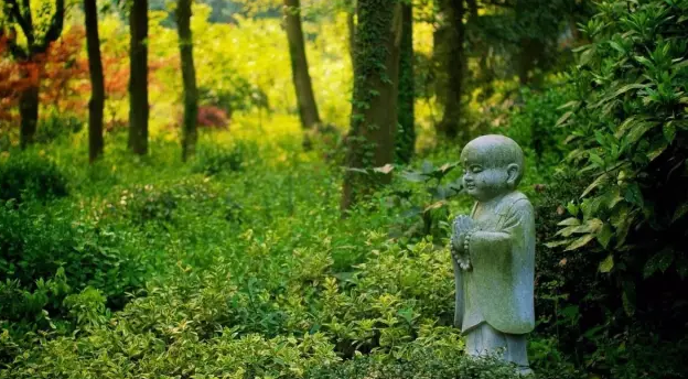 当你对生活无望时，就读读这些句子
