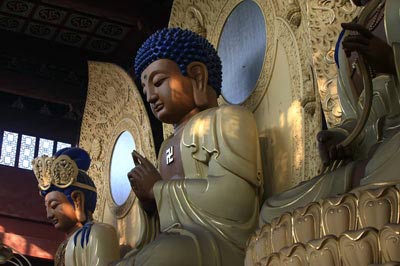 解读藏传佛教的慈善传统:源于善恶有报和慈悲观 解读藏传佛教的慈善传统:源于善恶有报和慈悲观