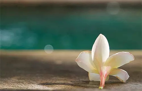 沉默,可以让混乱的心,变得清澈 沉默,可以让混乱的心,变得清澈