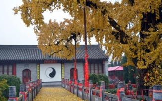 每日一道：参访道教宫观与道长接触的礼仪