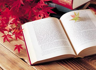 你拿把旧钥匙 敲着厚厚的墙|读书笔记・第29辑 你拿把旧钥匙 敲着厚厚的墙|读书笔记・第29辑