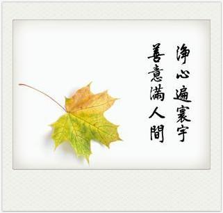 一日禅：在宽容中壮大自己