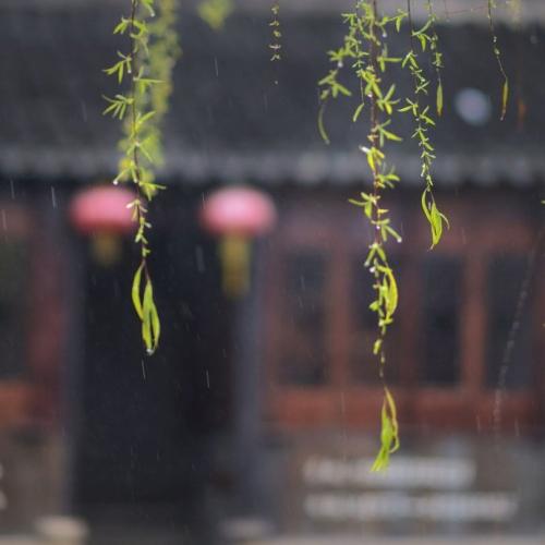 庄子说：幸福是什么？幸福就是，身上无痛苦，心里无烦恼！