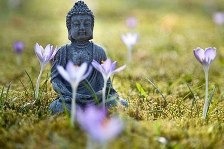  净慧长老：想成就大事业 就要牢牢记住这个八个字