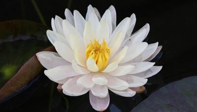 一日禅：最富有的时候 你的生活也是最贫穷的