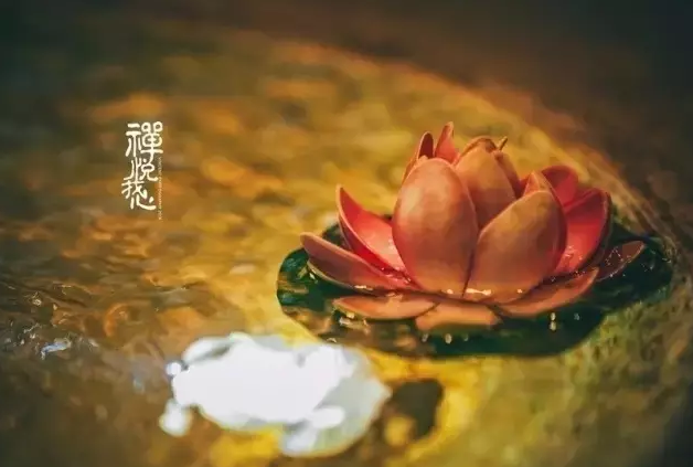 爱，不一定要发生关系