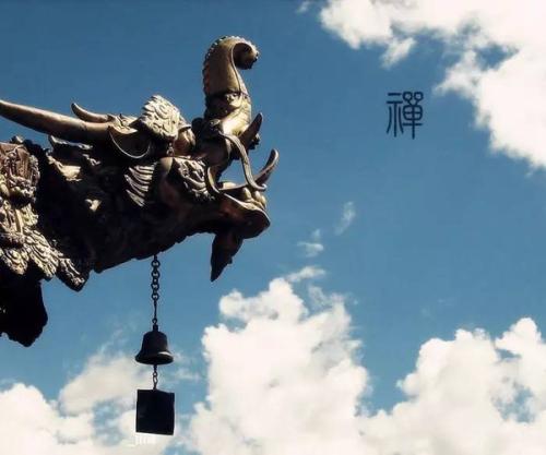 一日禅：知足的人最富有