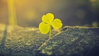 一日禅：人生有多少时间可以把握？
