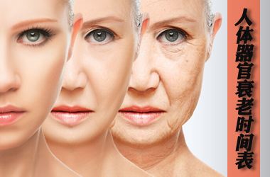 《人体器官衰老时间表》别等坏了再去养！送你一套全身保鲜秘诀~