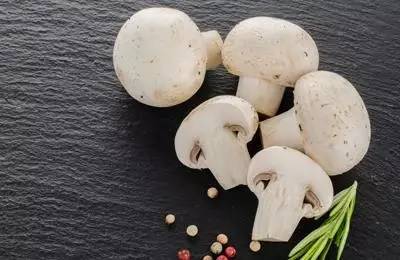 蘑菇:“上帝的食物” 蘑菇:“上帝的食物”
