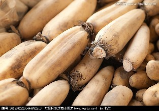 莲藕妙处:含多种维生素还能美容抗衰老 莲藕妙处:含多种维生素还能美容抗衰老