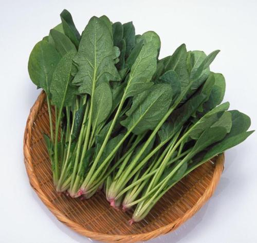春季气血不足怎么办 4种蔬菜补血益气 春季气血不足怎么办 4种蔬菜补血益气
