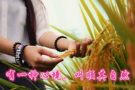 一日禅：顺其自然