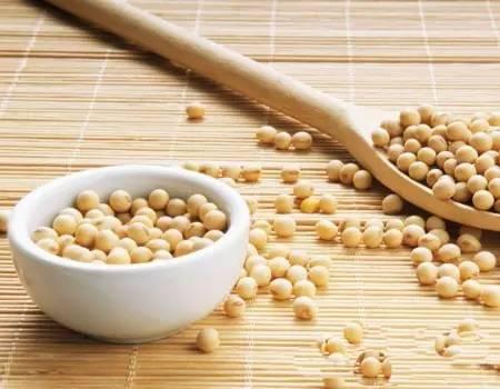 贫血怎么办 多吃这7种“造血”素食 贫血怎么办 多吃这7种“造血”素食