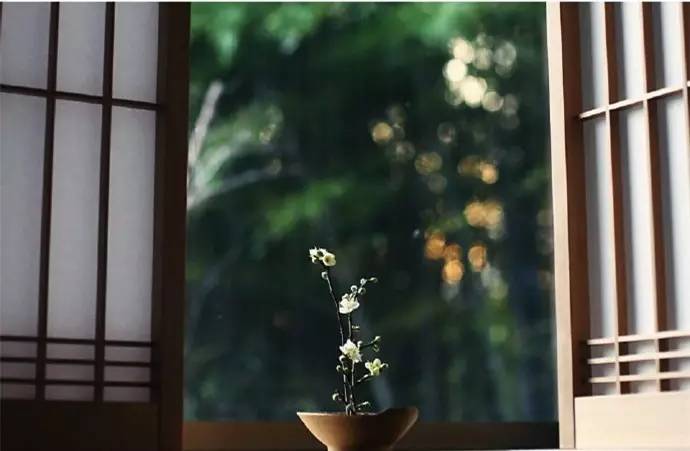 丰富的安静