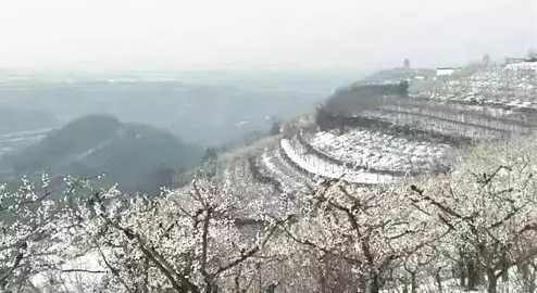 翠峰青山——仙姑宫 翠峰青山——仙姑宫