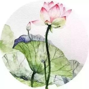 《菜根谭》：高级的情商，是有话直说