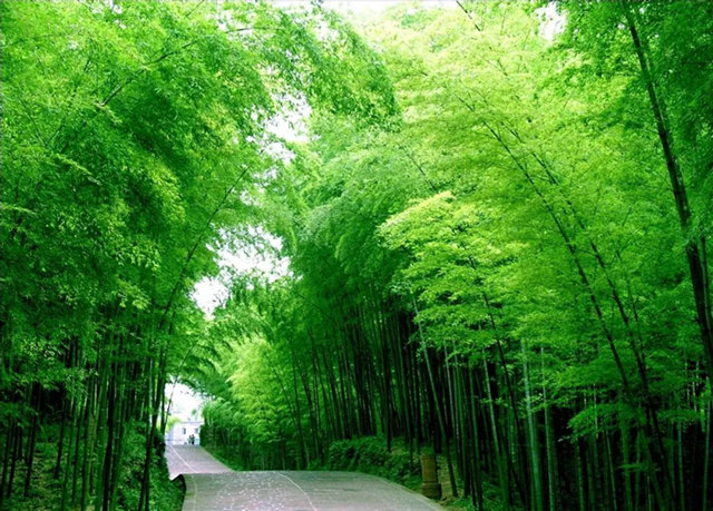 5月最佳旅行地清单出炉 大好时光赴一场初夏之约！